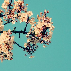 暖暖日本免费中文字幕
