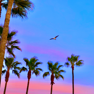 暖暖日本免费中文字幕
