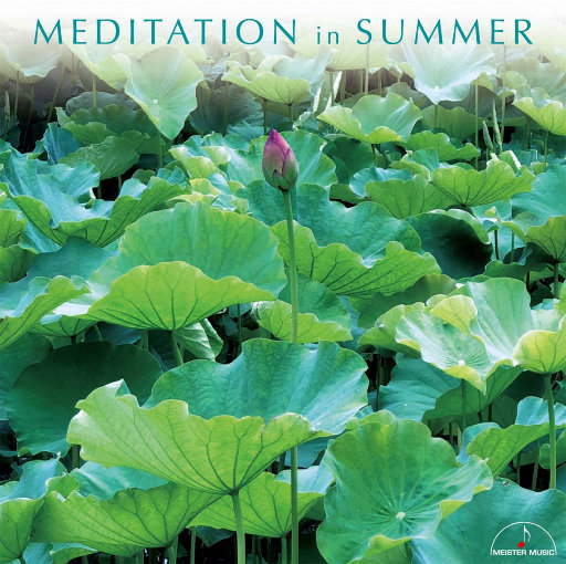 暖暖日本免费中文字幕
